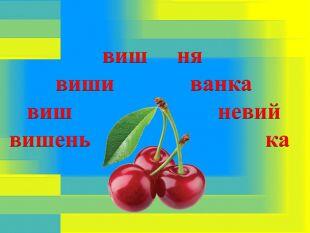 0501tsy3-6c35-310x233.jpg