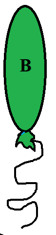0501tx57-e2b8-115x480.png