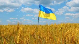 Презентація "З чого починається Україна" для учнів початкової та середньої школи