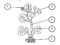 0501txyc-ba4f-192x146.png