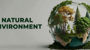 6.Nature and the Environment (9 кл)