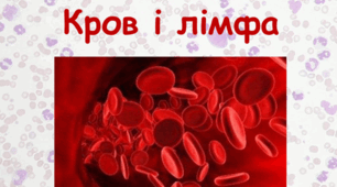 Презентація : "Транспорт речовин. Внутрішнє середовище організму людини".