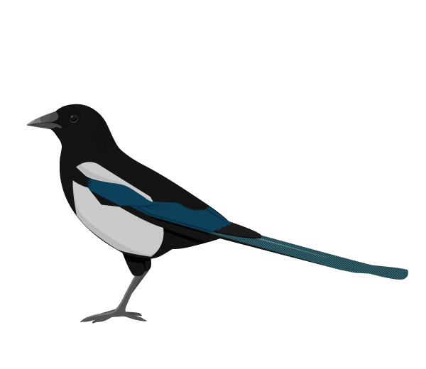 0501u4y5-3c72-600x520.png