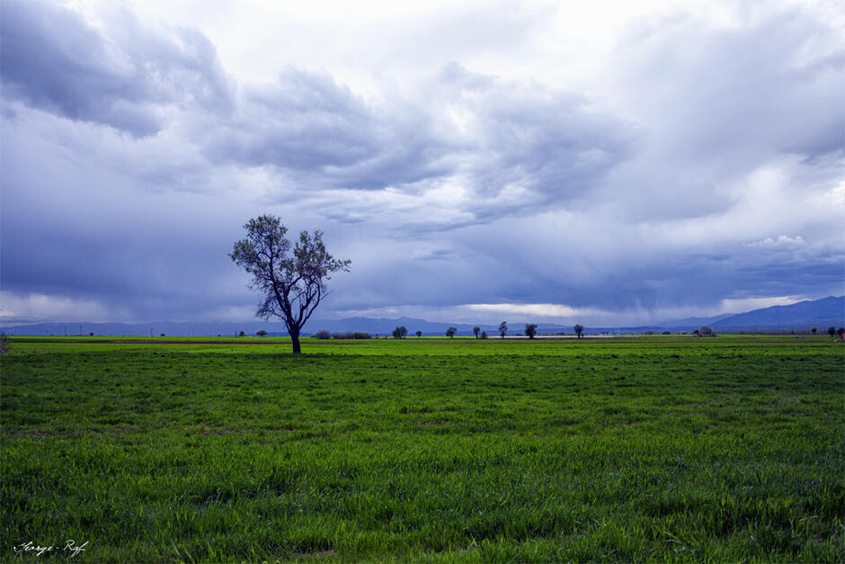 Plain: A Flat but Varied Landform - A Learning Family