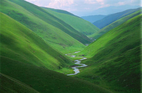 To The Valley! | Dutch Bennie