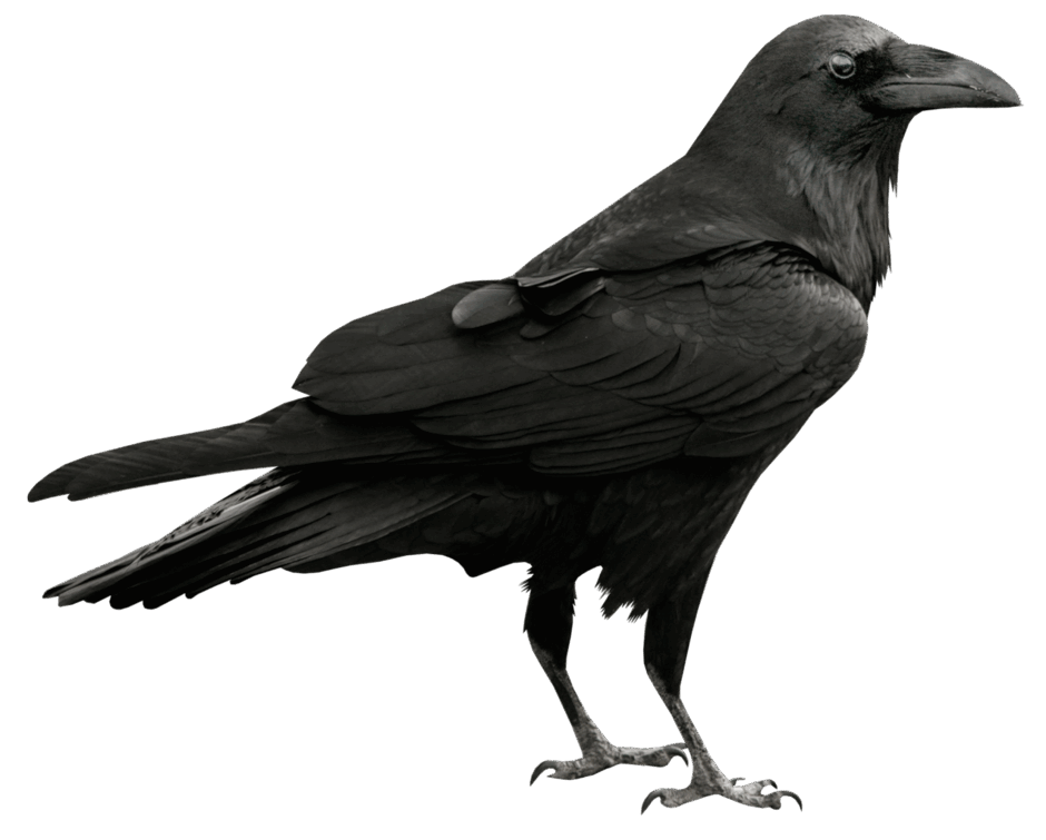 0501u5ws-09be-940x755.png