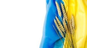 План - конспект вікторини "Я люблю країну, що зветься Україна" + презентація, для 8 - 10 класів
