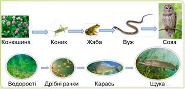 0501u9ci-50a8-361x175.jpg