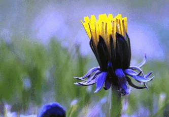0501ua4d-f4b3-333x232.png