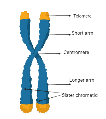 0501uaf7-ab76-366x408.png