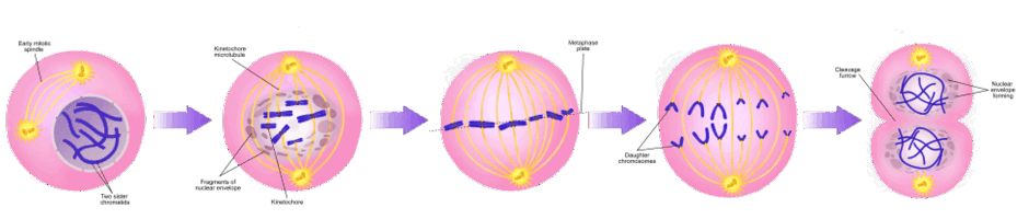 0501uaq7-8a06-940x200.png