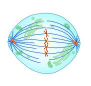 0501uatt-d885-183x172.png