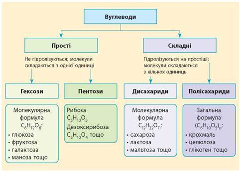 0501ubg8-62ac-482x346.jpg