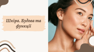 Презентація на тему "Шкіра. Будова та функції"