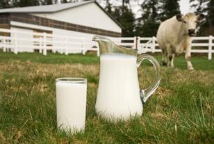 Seven of the Most Extreme Milks in the Animal Kingdom | Science| Smithsonian Magazine
