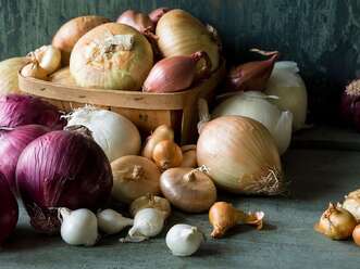 Which Onions Are Best for Every Type of Dish?
