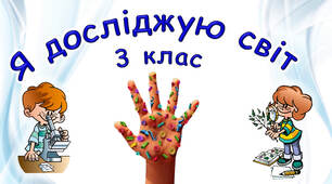 Яка роль шкіри в організмі людини