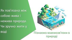 Презентація з уроку Пізнаємо природу для 6 класу на тему «Як пов’язана між собою жива і нежива природа. Чи зручно жити у воді»