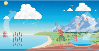 0501umpj-654f-343x177.png