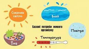 Соціальні цілі економіки.
