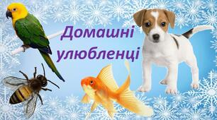 Конспект уроку "Домашні улюбленці".