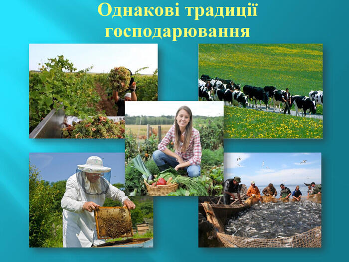 Однакові традиції господарювання