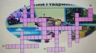 Кросворд з ЯДС  за підручником Т.Гільберг для учнів 4 класу на тему "Рослинний і тваринний світ Південної Америки" с.50-53