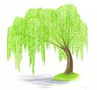 0501us7u-d17c-139x129.jpg