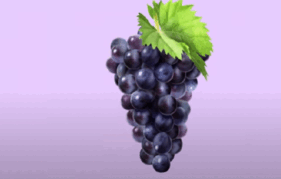 0501usad-5c8c-281x179.png