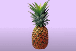 0501usbl-e080-251x169.png