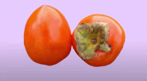 0501usbz-d049-294x162.png