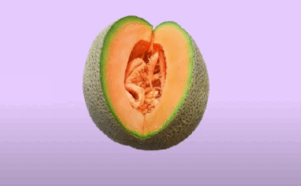 0501usfr-9811-301x186.png