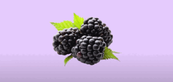 0501ush9-8bca-341x163.png