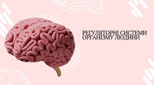 Презентація з біології для учнів 8 класу на тему: "РЕГУЛЯТОРНІ СИСТЕМИ ОРГАНІЗМУ ЛЮДИНИ"