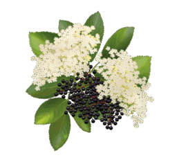0501uu5y-707f-256x234.png