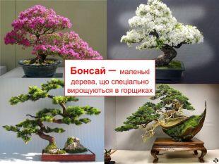0501uwbj-986d-310x233.jpg