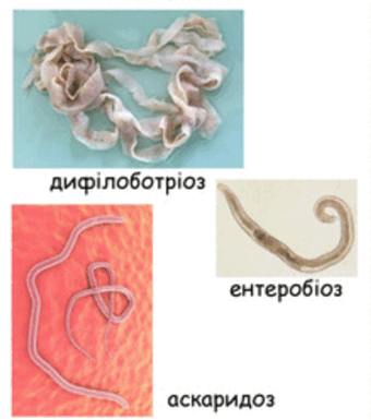 0501uwrf-418e-365x413.png