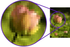 0501v100-2a9a-226x151.png