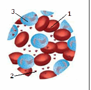 0501v862-2f42-178x176.png