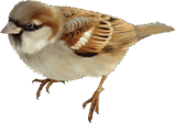 0501v8uu-9bb1-159x112.png