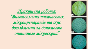 Практична робота: “Виготовлення тимчасових мікропрепаратів та їхнє дослідження за допомогою оптичного мікроскопа”