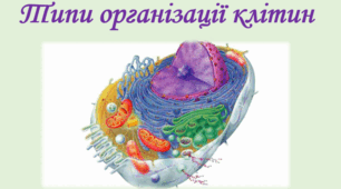 Типи організації клітин (7 клас)