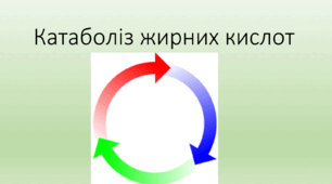 Катаболіз жирних кислот (біологія 10 клас профіль)