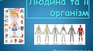 Дбаю про своє здоров'я. Шкіра. 