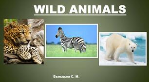 Презентація "Wild Animals" для учнів початкових класів.