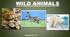 Презентація "Wild Animals" для учнів початкових класів.