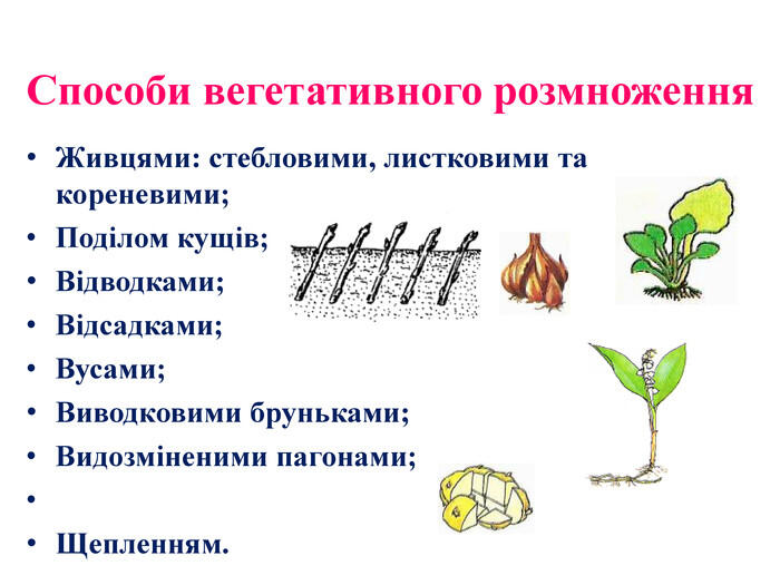 0501vcz9-c04b-700x525.jpg