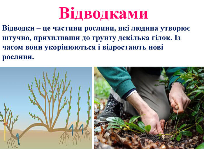 0501vczn-19e9-700x525.jpg