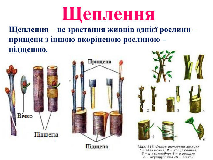 0501vd0a-17f4-700x525.jpg