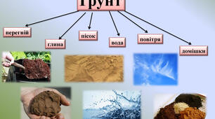 "Що таке грунт. Склад грунту" Пізнаємо природу 5 клас НУШ